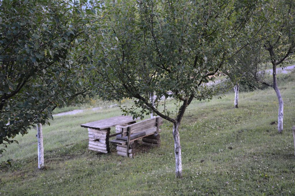 Apartments Novela Пол'янк Екстер'єр фото