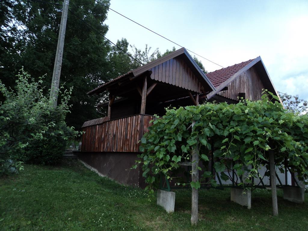 Apartments Novela Пол'янк Номер фото